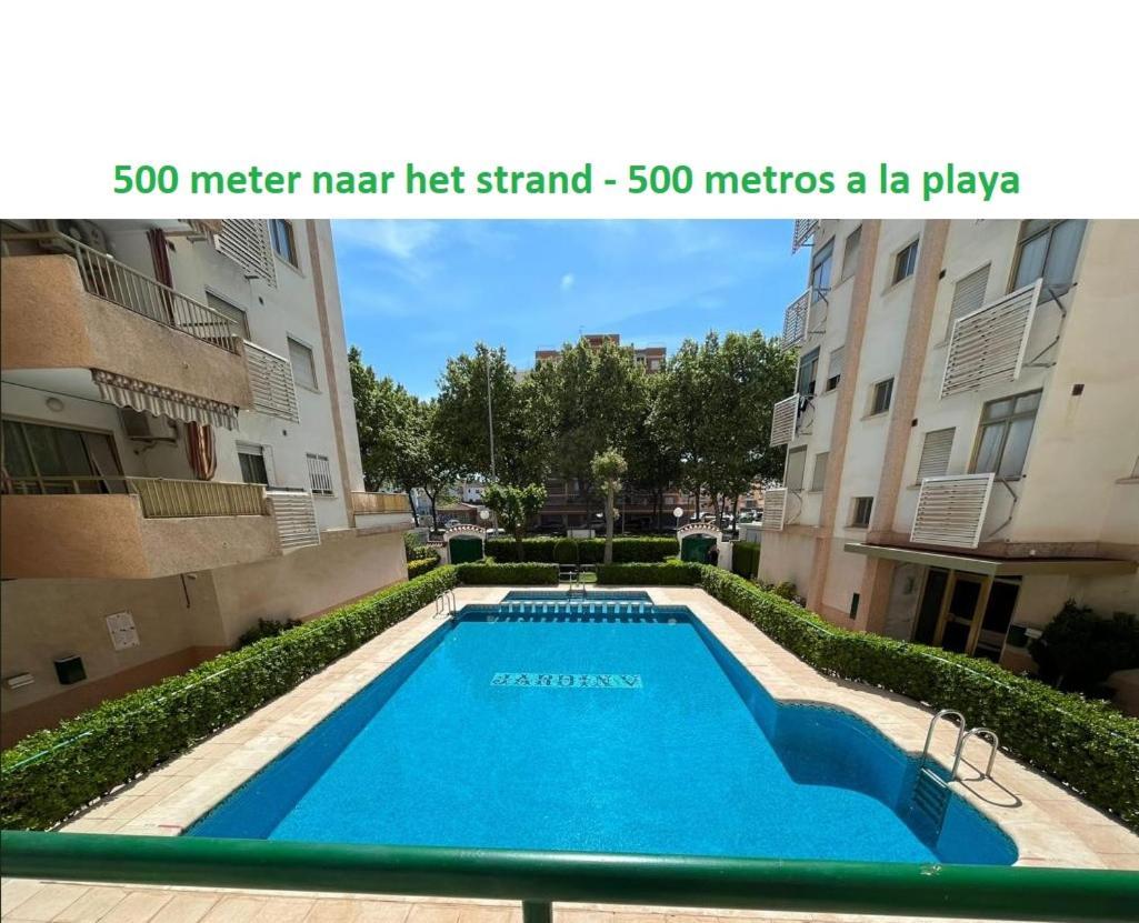 Jardin 5 Playa De Gandia - No Fiestas - Con Wifi Lejlighed Eksteriør billede